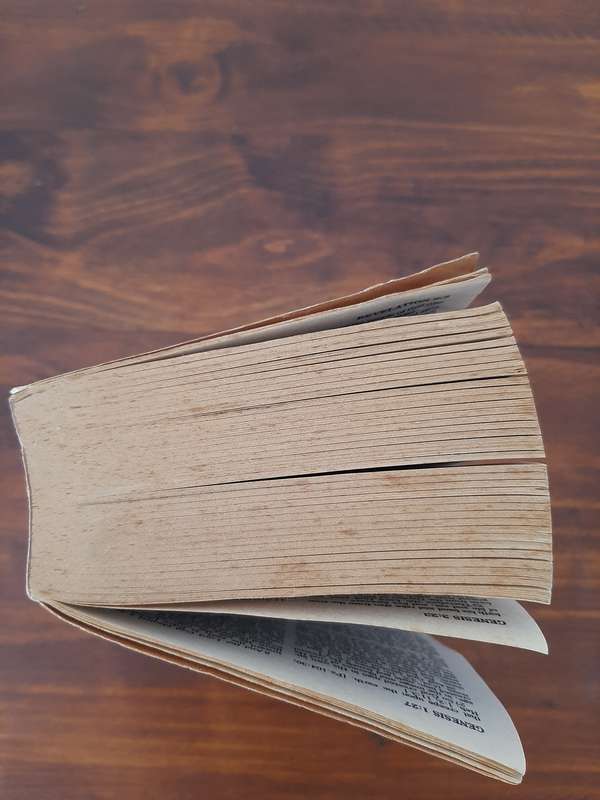 Amplified Bible