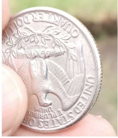 1994 quarter dollar with mint errors