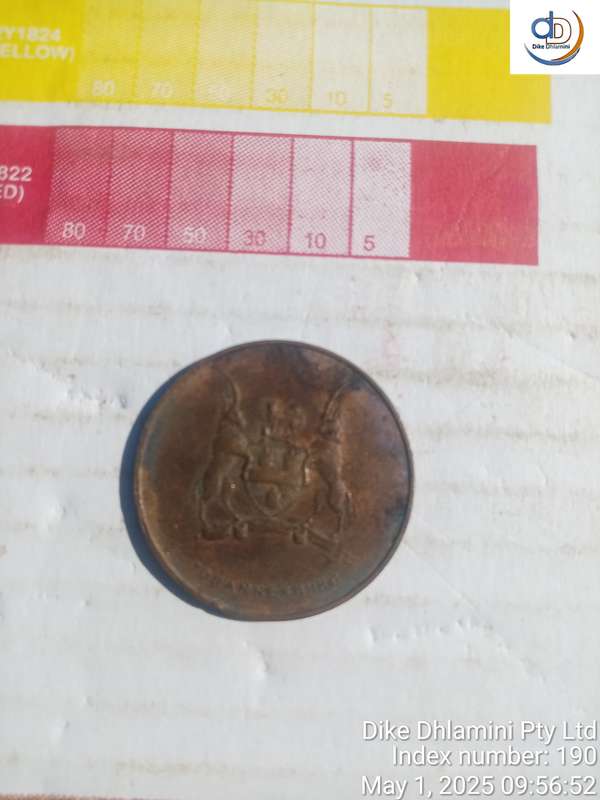 1966 Johannesburg commemorative medalion