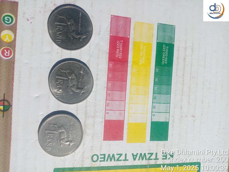 1977 south african 1 rand rare collectors coins
