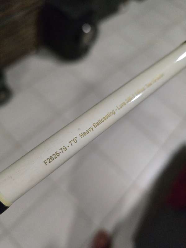 Elbe Blue Crystal Baitcasting rod ( Great Condition )