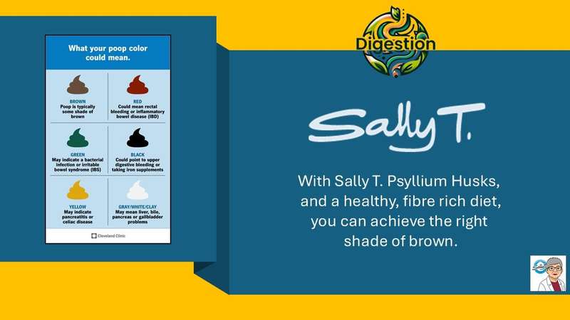 Sally T. Psyllium Husks, 500mg/capsule, 500 capsules.