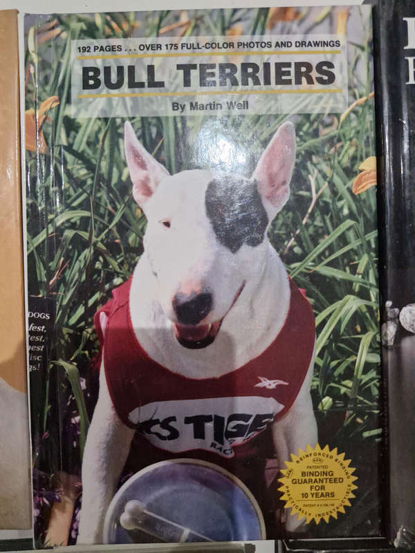 5 bull terriers dog books