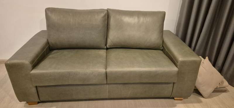 Karoo Leather Sleeper Couch