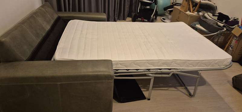 Karoo Leather Sleeper Couch