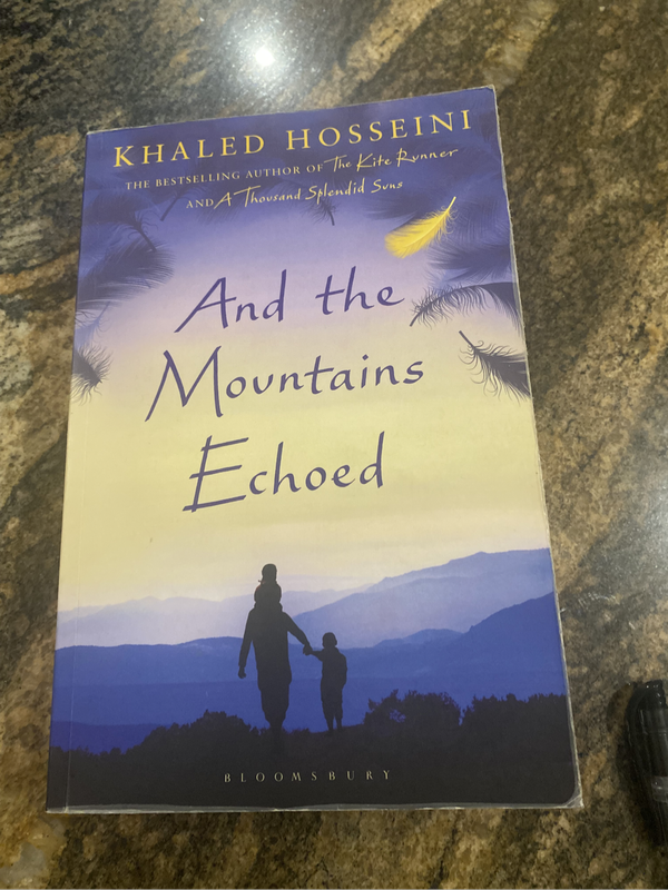 And The Mountains Echoed