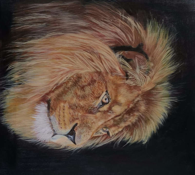 Lion painting