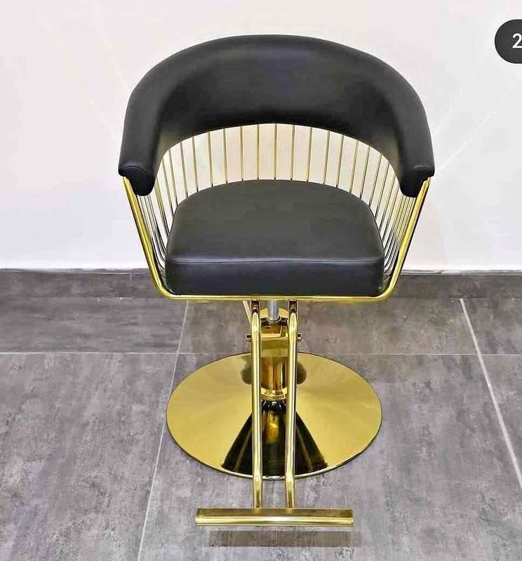 Luxurious Saloon Chairs 360 Degrees Rotationa