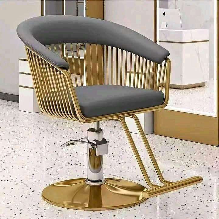 Luxurious Saloon Chairs 360 Degrees Rotationa
