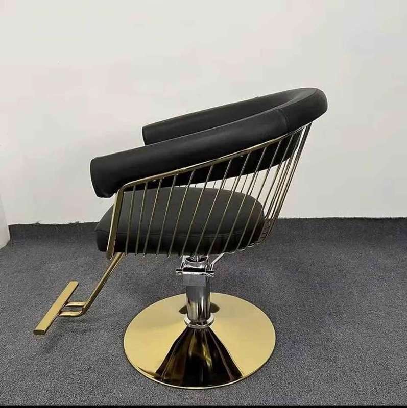 Luxurious Saloon Chairs 360 Degrees Rotationa