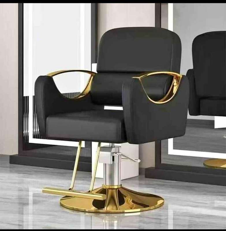 Luxurious Saloon Chairs 360 Degrees Rotational