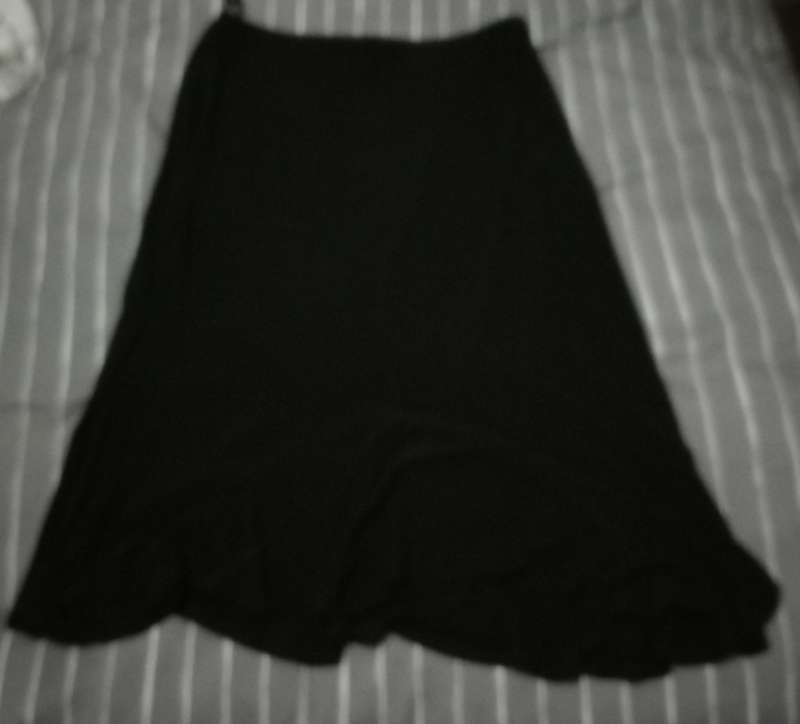 Ladies skirt