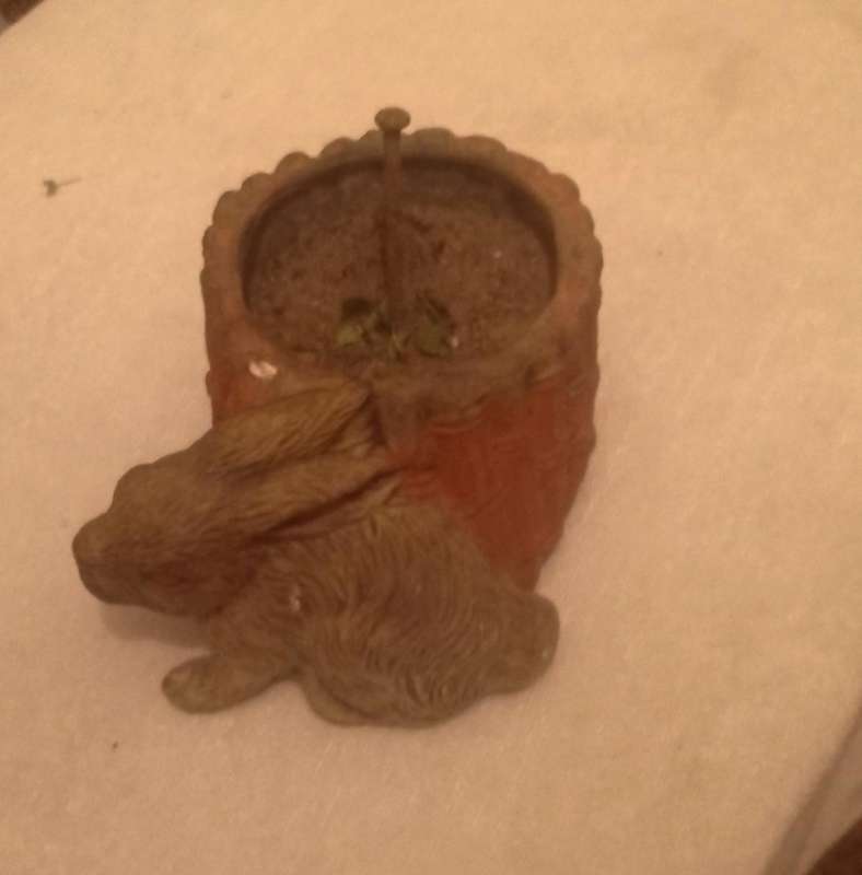 Pot plant