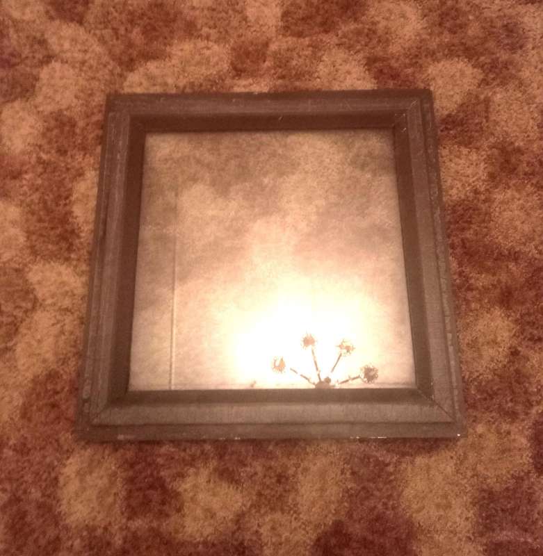 Alliminium window