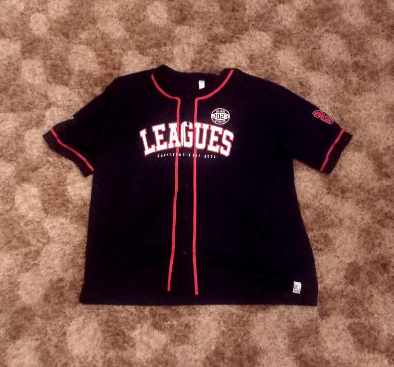 Ladies top