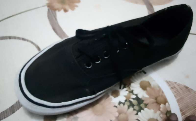 Vans sneakers
