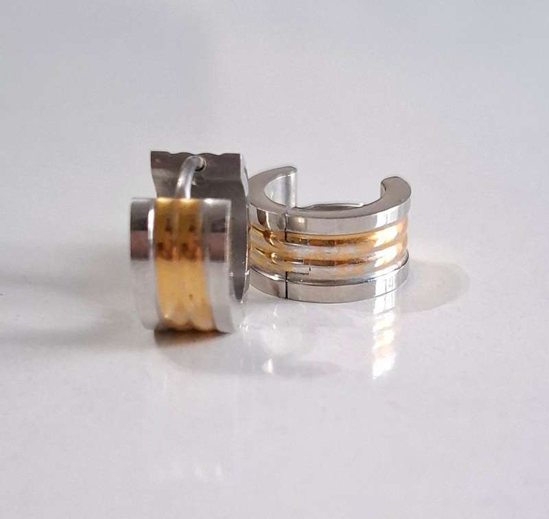 Stainless Steel Dual Tone Hoop (Sleeper) Earrings