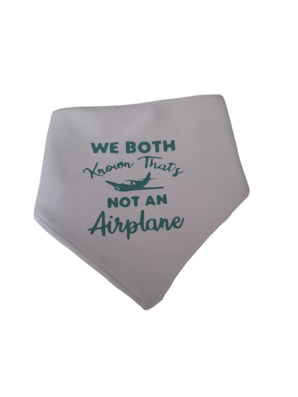 We both know that is not an airplane - Baby Bib (green)