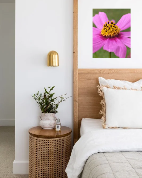 Original Photography A3 Printed Canvas Wall Art "Pink Cosmos""