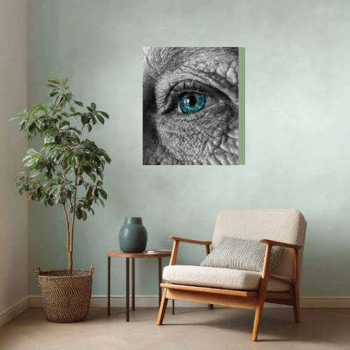 Original Photography A3 Printed Canvas Wall Art "The Windows to the soul."