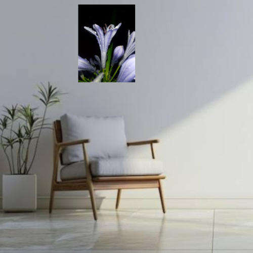 Original Photography A3 Printed Framed Canvas Wall Art "Purple Rain"