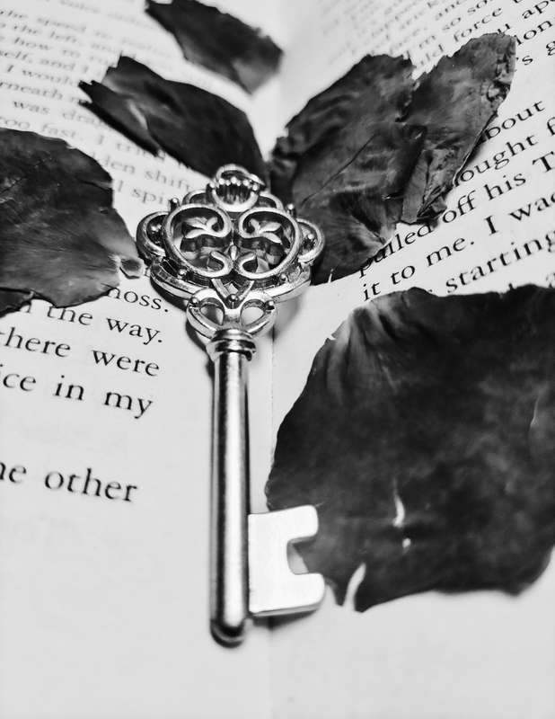 Original Photography A3 Printed Canvas Wall Art "Black and White: Key to Knowledge""