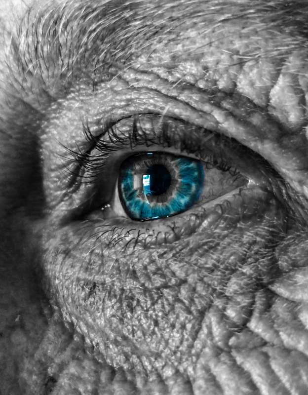 Original Photography A3 Printed Canvas Wall Art "The Windows to the soul."