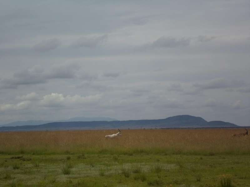Original Photography A3 Printed Canvas Wall Art "Minimalist Landscape""