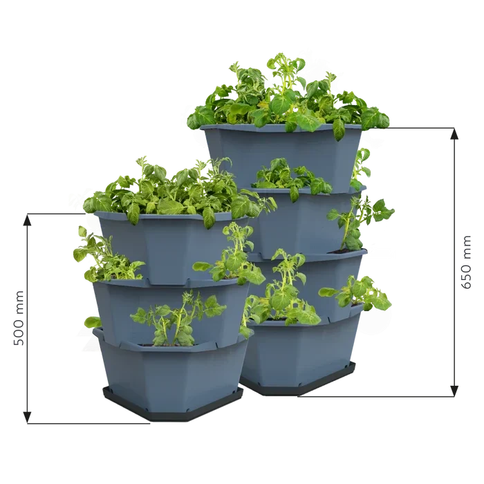 Gusta Paul Potato Grey Planter