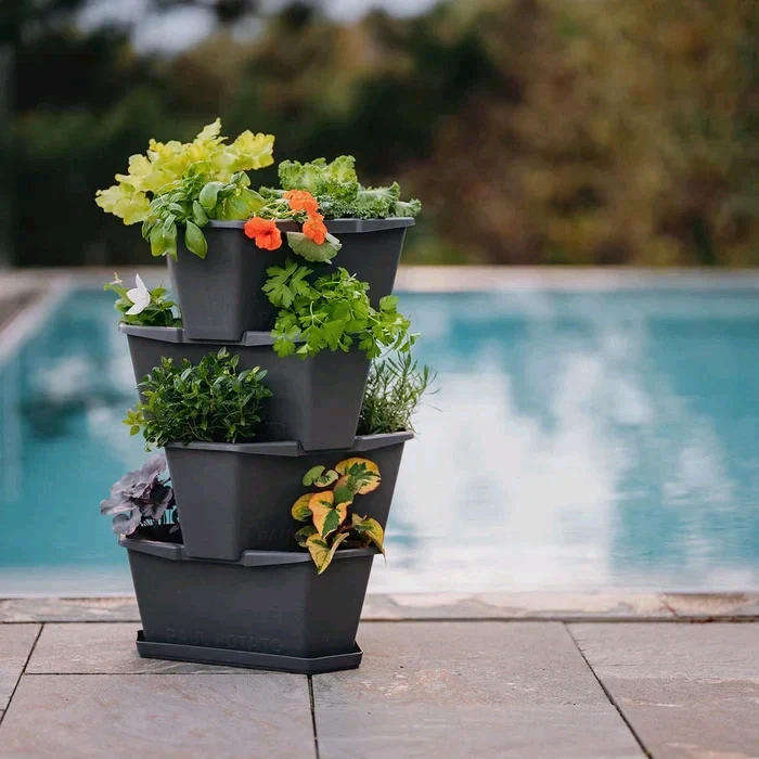 Gusta Paul Potato Grey Planter