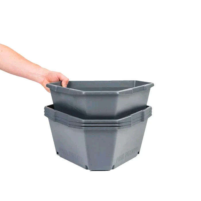 Gusta Paul Potato Grey Planter