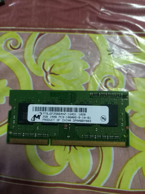 Ram