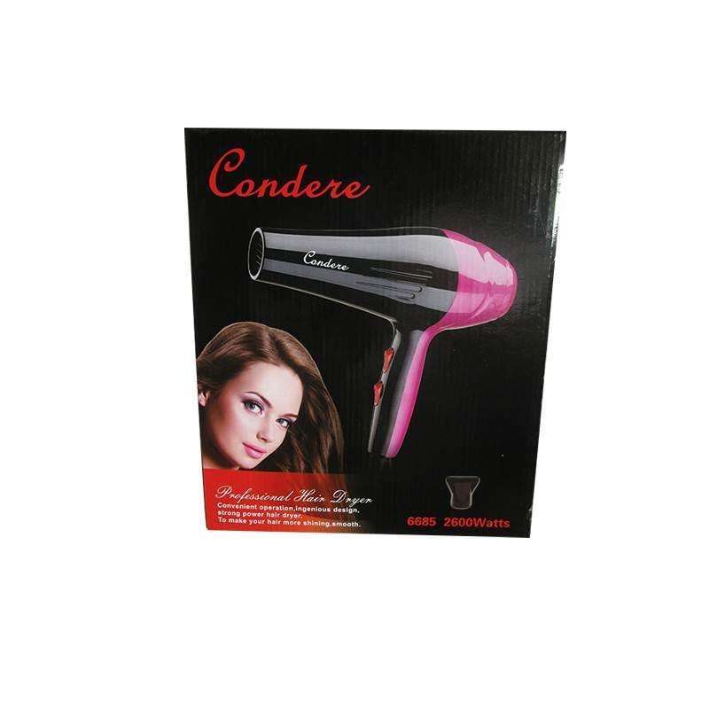 Professional 2600W Hair Dryer with Concentrator
