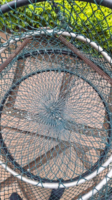 Fish Keepnet For Sale