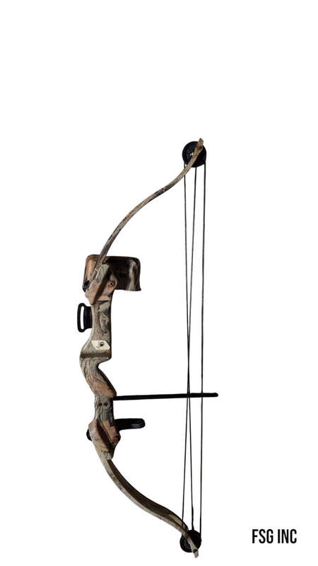 Compound Bow