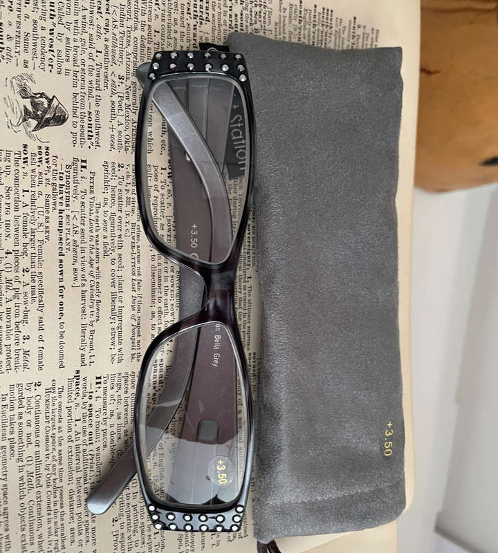 Sight Station by Foster Grant Bella Grey +3.50 Reading Glasses with Fabric Pouch