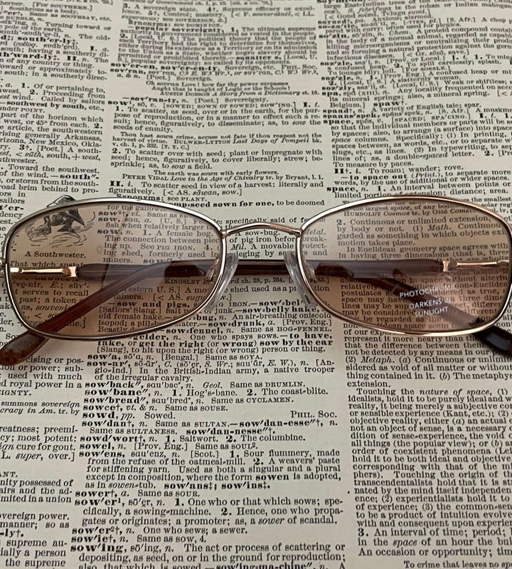 Boots Photochromic Sunglasses  Tiny Seed Pearl Detail, Style 100B, Elegant & Functional