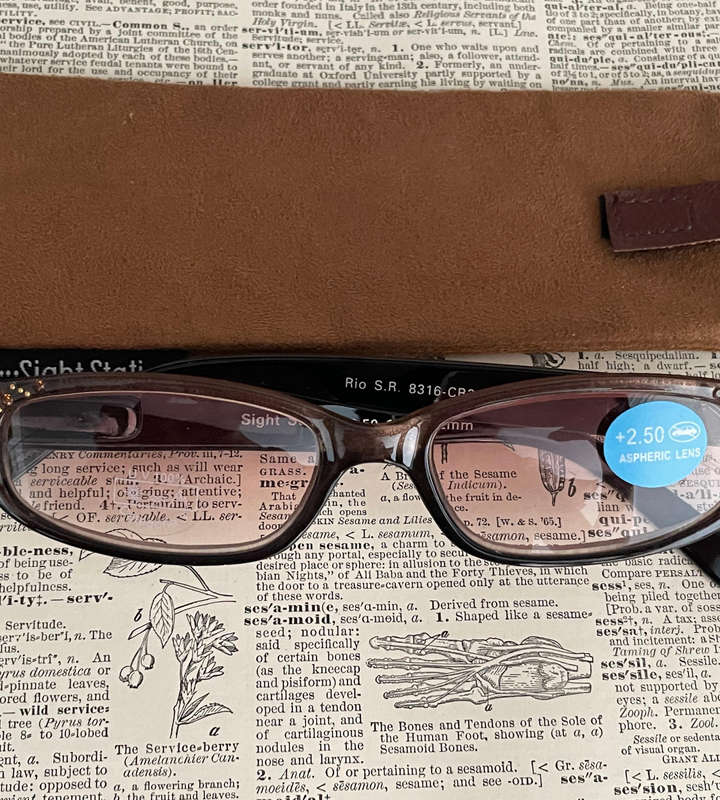 Sight Station RIO +2.50 Reading Glasses  Colorful Fashion Readers with Fabric Pouch | PD 62mm