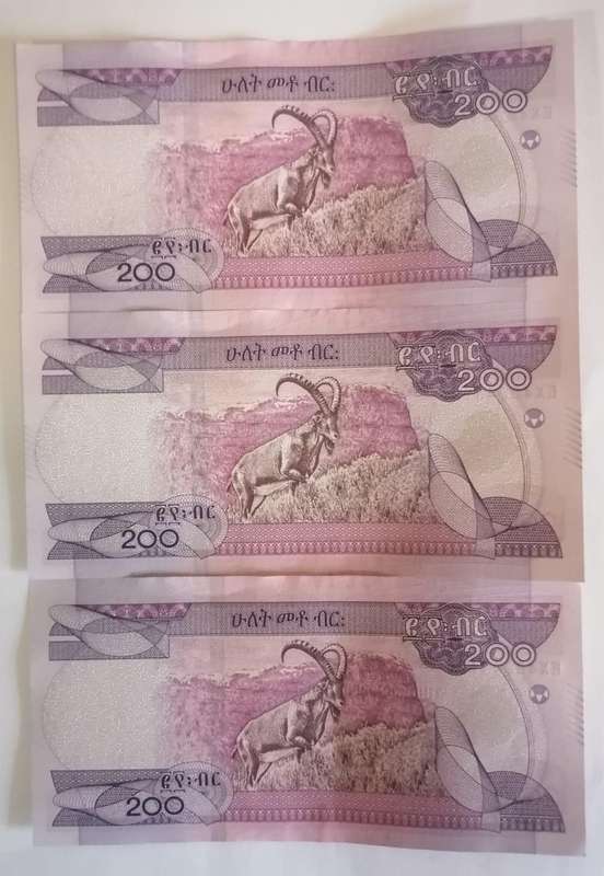 Ethiopia 200 Birr x3 Notes | 2020 UNC | Consecutive Serial Numbers