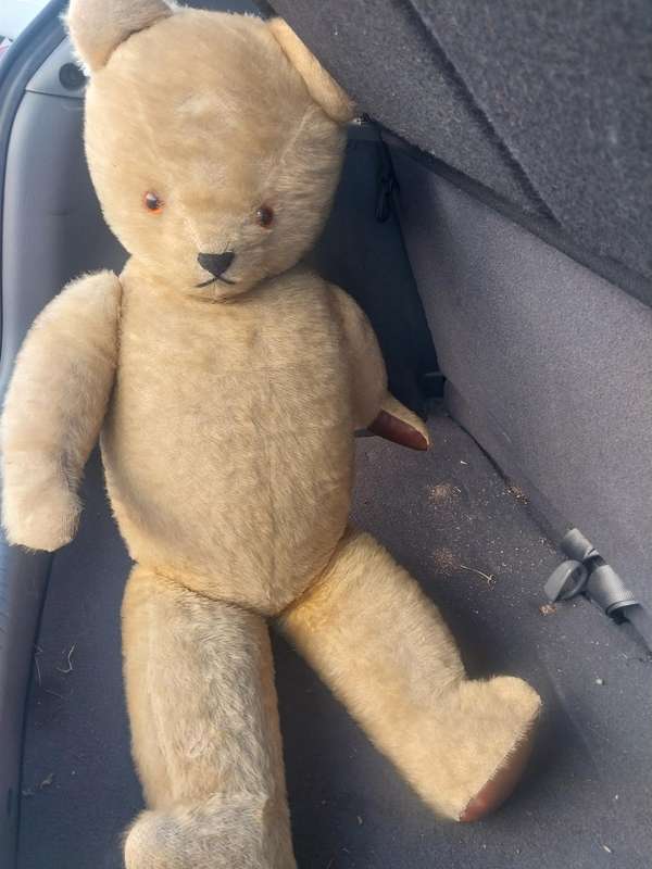 Antique Teddy Bear 60 years old.