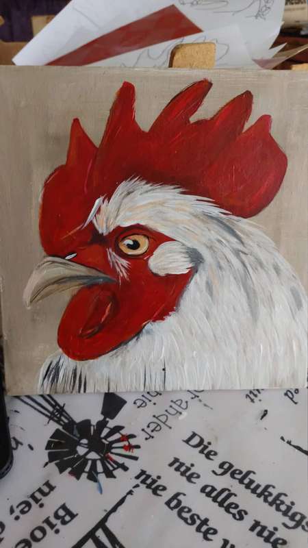 Chicken CANVAS art
