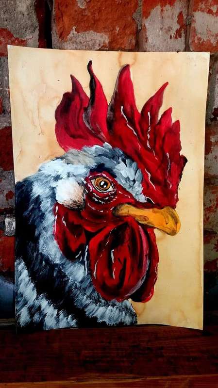 Chicken CANVAS art