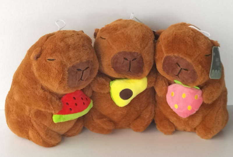 Capybara Cute Plush Toy Assorted Designs