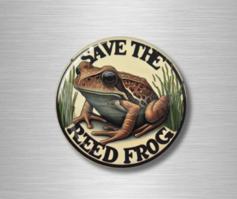 Fridge Magnet Set - Very strong with original designs.  Interior design quality.