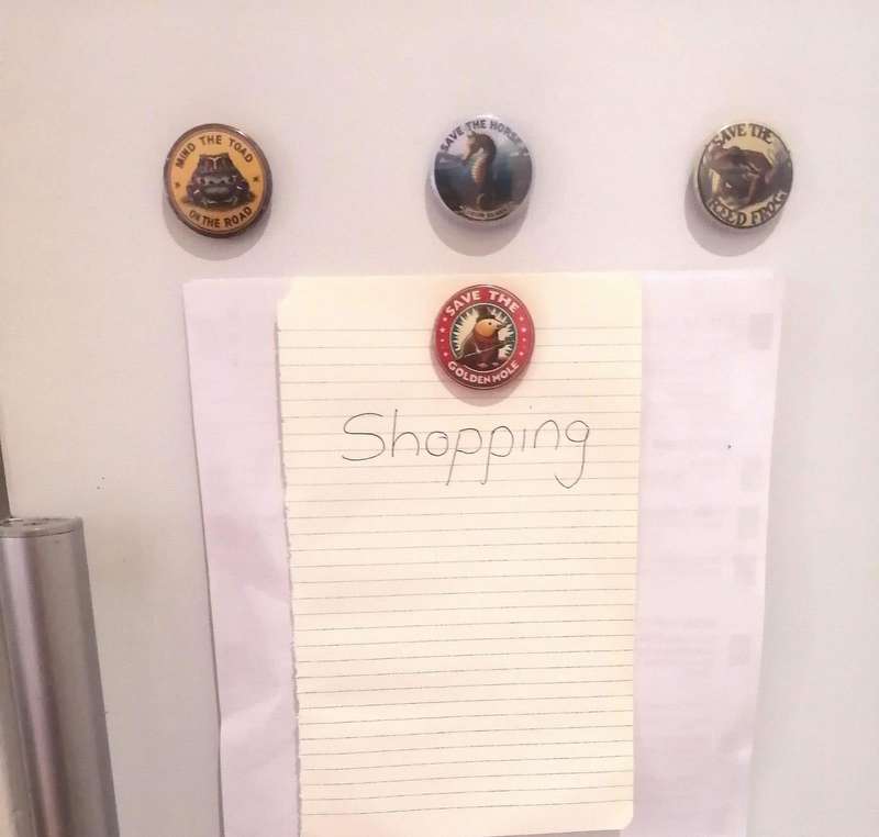 Fridge Magnet Set - Very strong with original designs.  Interior design quality.