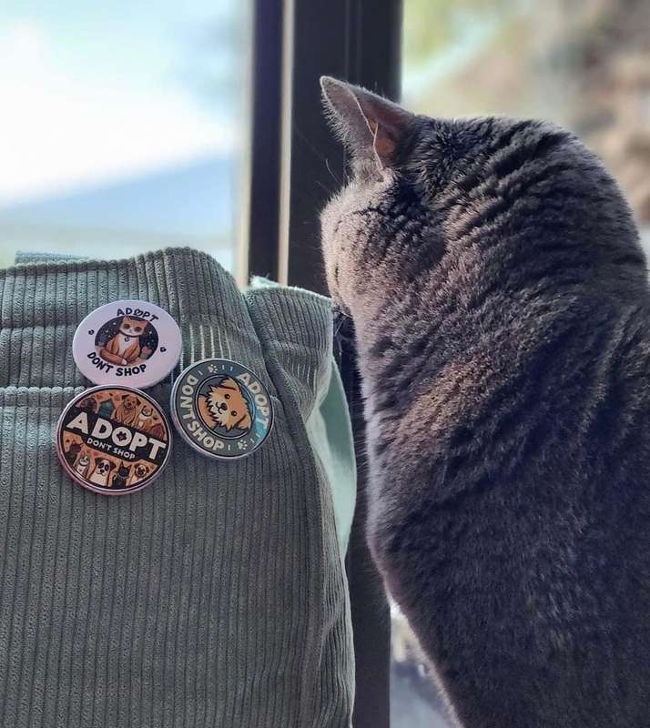 Adopt Don't Shop Cat Badge