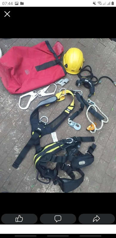 Harness