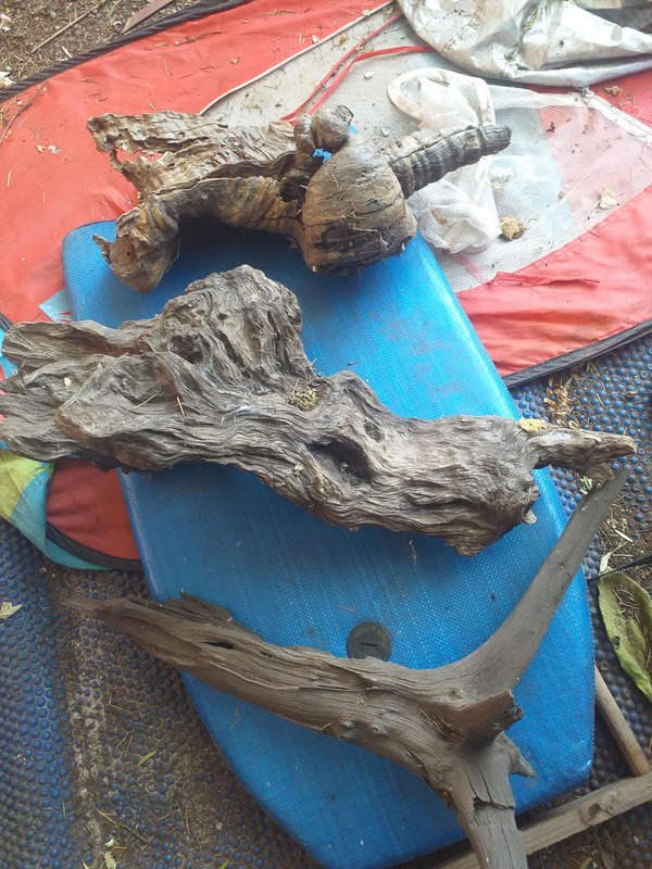 Driftwood
