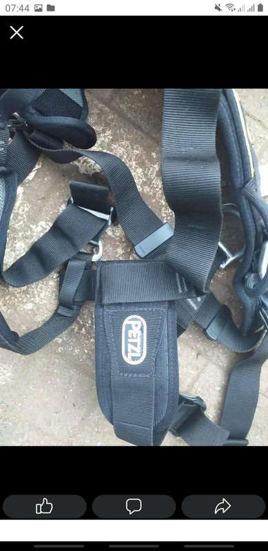 Harness