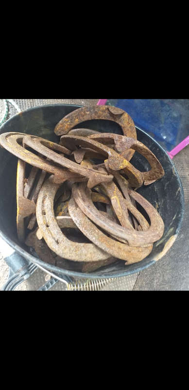 Horseshoes